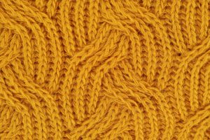 bright-close-up-colors-1487703.jpg