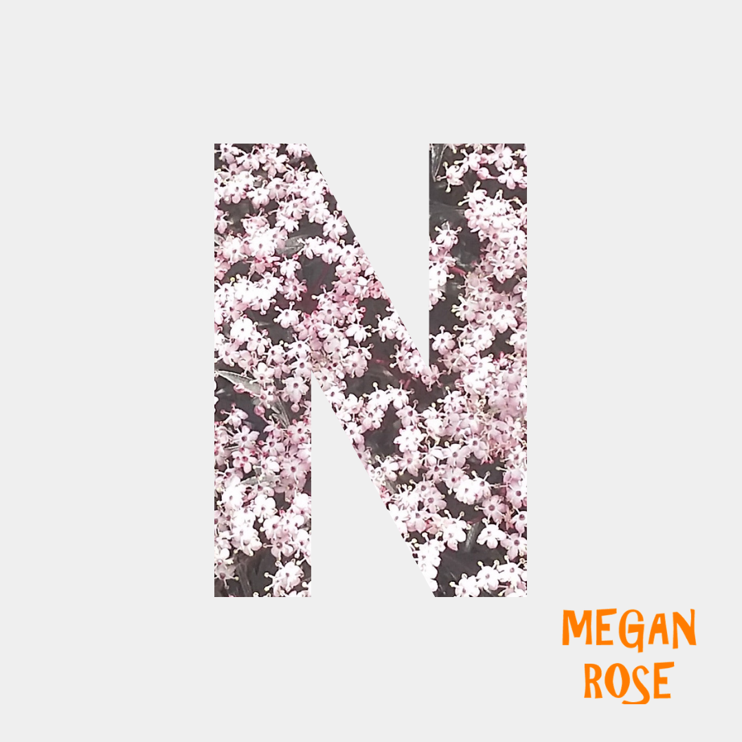 N is for networking and niches.